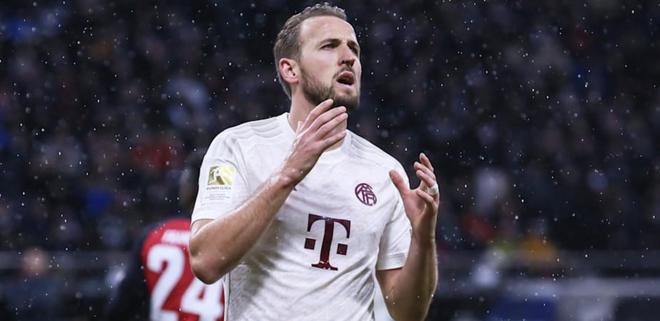 景的观众理 景的观众理