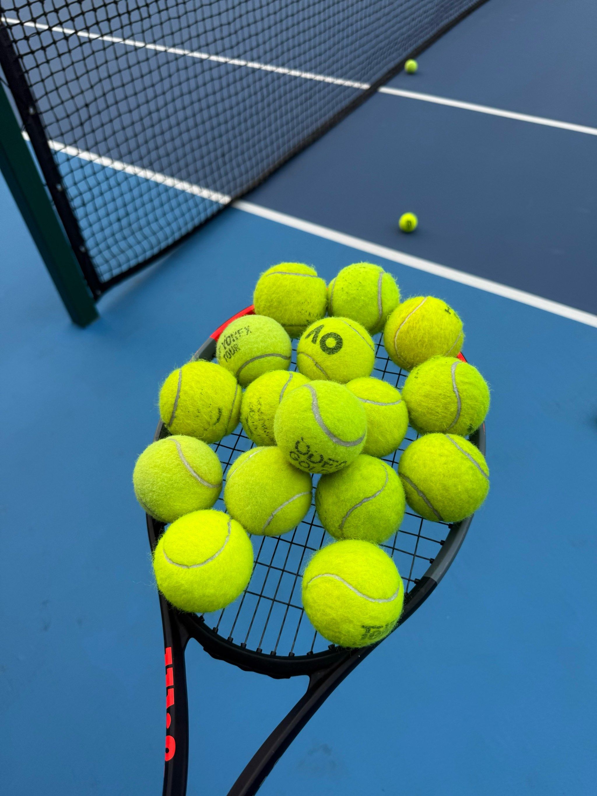 在战术安排 在战术安排